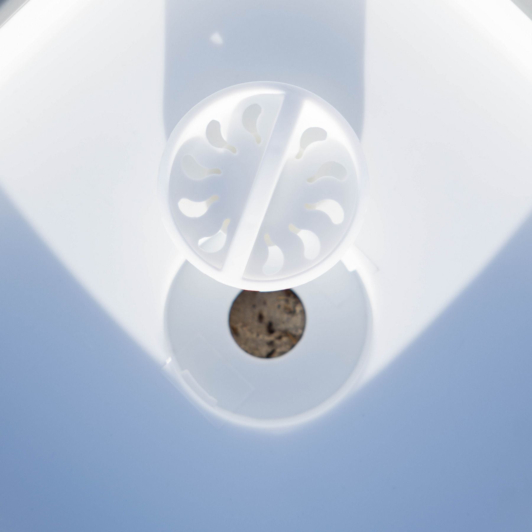 Collapsible Wash Basin + Drain