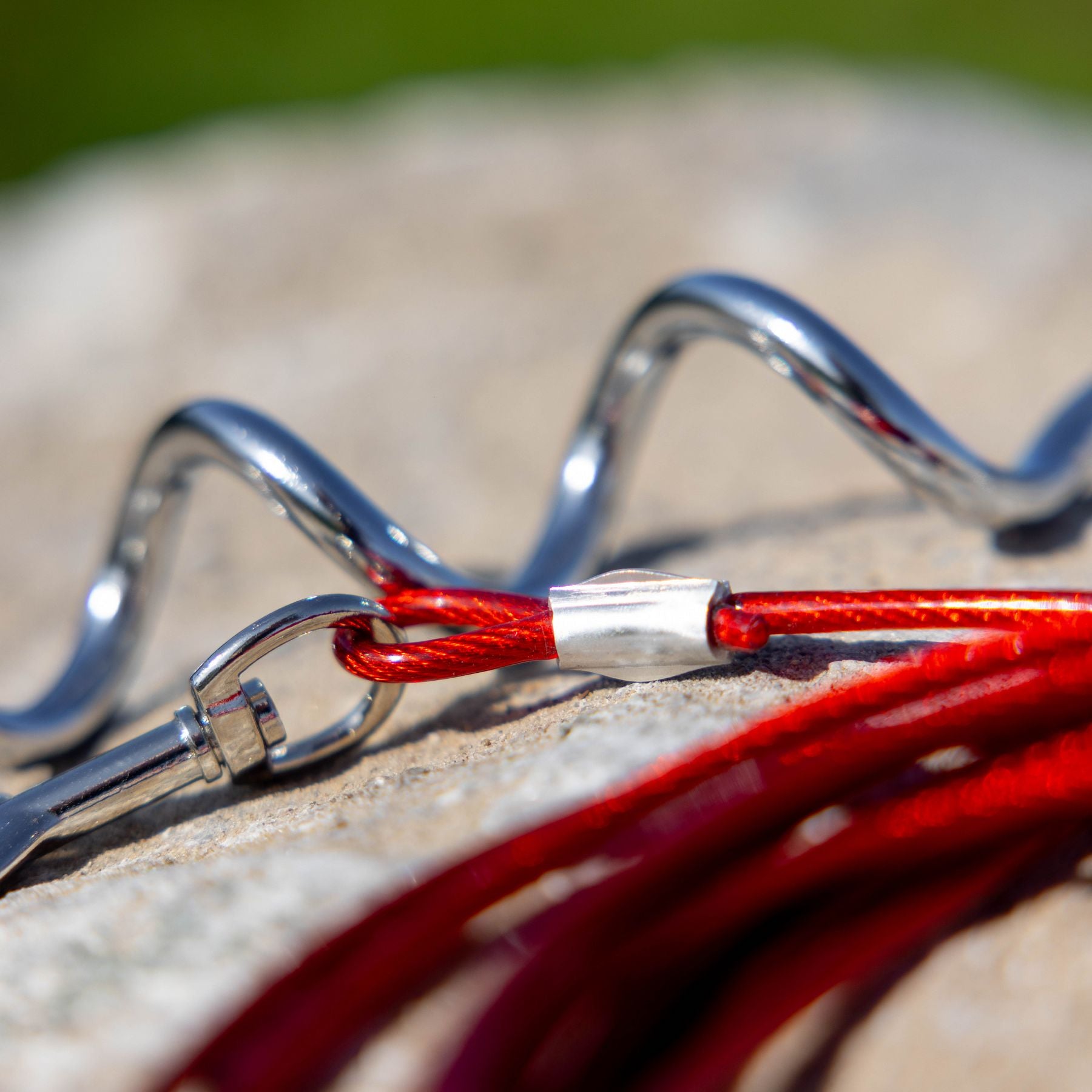 Dog Anchor + Dog Tether Cable 4 m