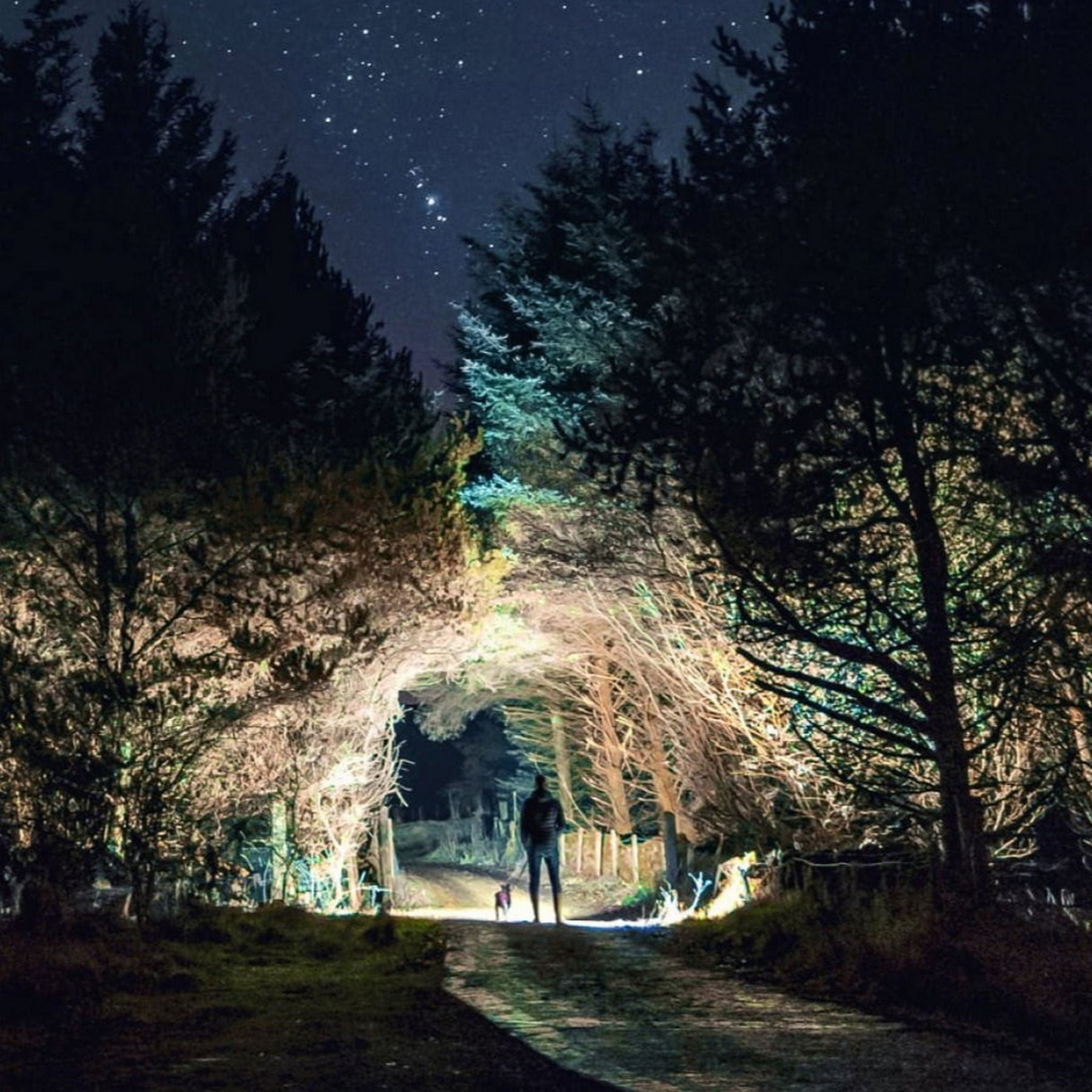 Zaklamp Tactics 2300